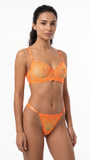 Tangerine Bloom